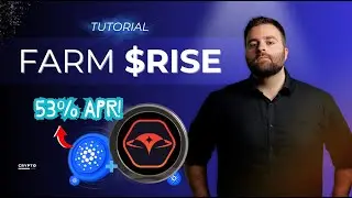 RISE &rarr; ADA Yield Farming Tutorial 🔥 Minswap Farm Step-by-Step Guide