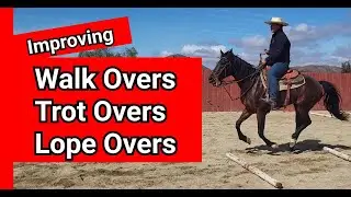 Improving your pattern - Walk Overs, Trot Overs, & Lope Overs