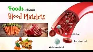 AJTechOfficial   7 Foods To  Increase Blood Pletelets