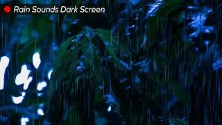 Tropical Rainforest Sounds Black Screen 8 Hours for Insomnia Relief, Sleep & Focus