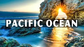 PACIFIC OCEAN 4K - The Most Beautiful Paradise Island - Scenic Relaxation Video 4K 60 FPS