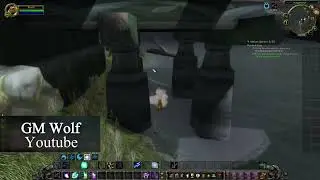 Die Familie und die Angelrute | The Family and the Fishing Pole | WoW Classic