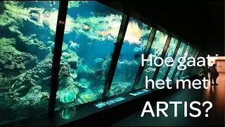 Alex bij het ARTIS aquarium - Hoe gaat het met ARTIS #10