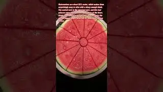 Perfect Watermelon Slices With This Massive Industrial Style Cutter