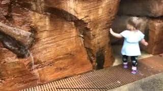 Exploring Disney | Animal Kingdom The Boneyard Play Area