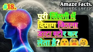 Brain facts in hindi how brain stores memory top facts about brain.