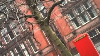 sackville gardens manchester uk town centre