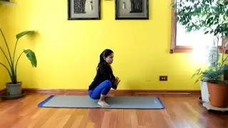 Seated Yoga Poses (3) - Daily Yoga with Vidya Nahar - 14