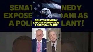 Senator Kennedy EXPOSES Mamdani as a Political Plant! 🔥 #ytshorts #nyc