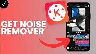 How to get a noise remover for a sound layer in Kinemaster?