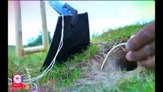 how to trap wild pig using deep hole,best wild pig trap homemade /M S STUDIO