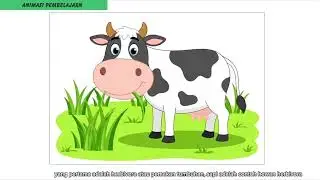 Animasi Pembelajaran Anak SD - Mengenal Jenis Hewan Herbivora, Karnivora & Omnivora