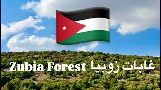 رحلة ساحرة في غابات زوبيا 🌲 🇯🇴 Zubia Forest Jordan  4K