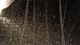WNC SNOW 1/6/2021 night