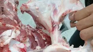 Mastering the Art butchering with beef on the table