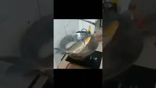 Fish comes BACK to LIFE while being cooked in the PAN!
