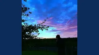 STORIES