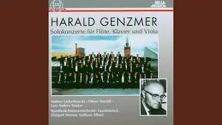 Konzert f&uuml;r Fl&ouml;te und Orchester: I. Allegro con fuoco