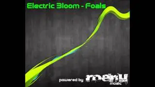 Electric Bloom - Foals (powered by roenumusic) [HD]