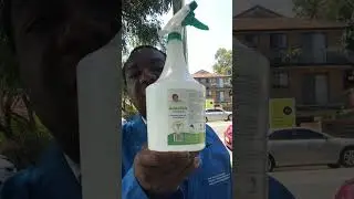Adaolisa Universal Disinfectant is Marking International Day of Clean Energy 2026 by United Nations.