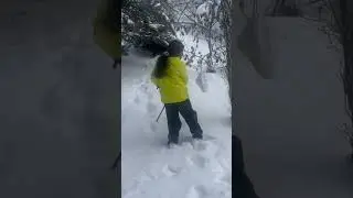 Застигнутый врасплох деревом.