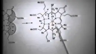R.B. Woodward Total Synthesis of Vitamin B12 Lecture - Part 2