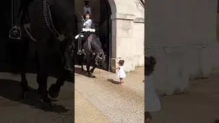 This Royal Guard Horse's Reaction to the Child Will Melt Your Heart #shorts #respect