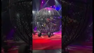 Motorcycle Stunt Cage! Circus 🎪