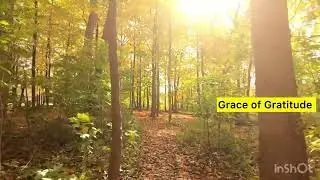 21 Day Gratitude Challenge-Positive Morning Affirmations-Marathi 