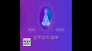 Let It Go to Grow: Sean Perrodin on Healing, Alignment & Emotional Freedom | Crystal Petry Podcast