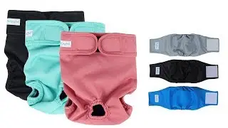Dog Diapers Reviews - Top 5 Best Dog Diapers