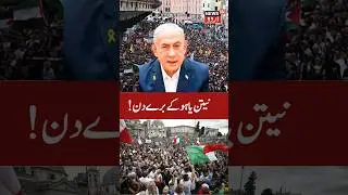 Italy in CHAOS: Gaza PROTESTS spark PORT BLOCKADES and CLASHES in Milan