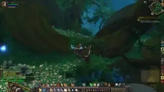 Return To The Grove Quest ID 38322 Playthrough Val'sharah