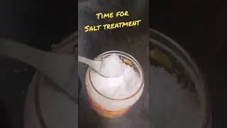 Koi Betta got ICH! Will 5day salt treatment work? #koibetta #ich #salttreatment #aquarium