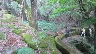 Coentral, Percurso pedestre - passeio na levada - Serra da Lous&atilde;