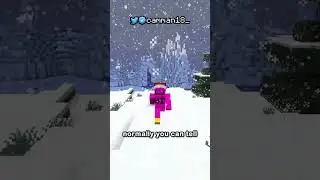 The Best Christmas Minecraft Tip.