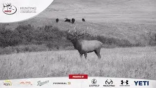 Hunting Is Conservation - 