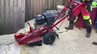 Toro SGR 13 Stump Grinder Home Depot rental