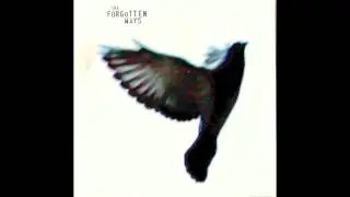 The Forgotten Ways   outta the limelight