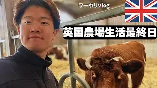 【Last Day】一ヶ月インドカレー生活終了/Leaving the Indian temple farm
