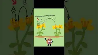 Difference between Self Pollination & Cross Pollination