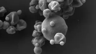 ORNL scientists learn how elusive organism survives hostile Yellowstone hot springs