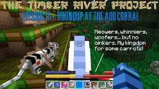 The Timber River Project 11 - Roundup at the ADD Corral (Minecraft LP)