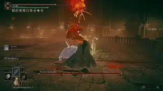 ELDEN RING Mesmer fight