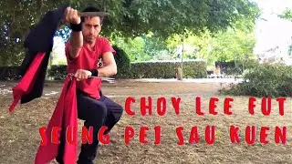 Seung Pei Sau Kuen//Forma de dagas gemelas de Choy Lee Fut 🗡🗡