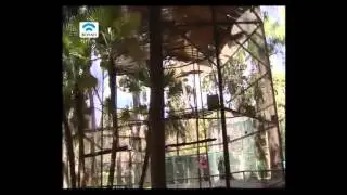 Ο κήπος της Αμαλίας. Αλέξανδρος Παπαγεωργίου - Βενετάς.