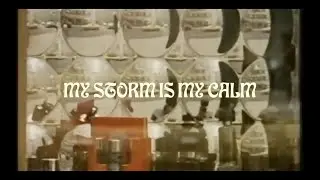 SHUKO & TRIBEZ. - MY STORM IS MY CALM Remix (feat. QUELLE CHRIS)