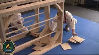 Battle of Chicago - Tang Soo Do - Buzzsaw Breaking