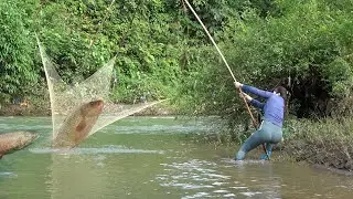Beautiful Girl Use Bait to Lure Fish, Pulling the Net to Catch Many Big Fish in the Stream