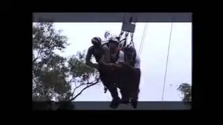 High on Life - Choc Mundine, Steve B and Timmy D. Cairns 2000 on the Minjin Swing